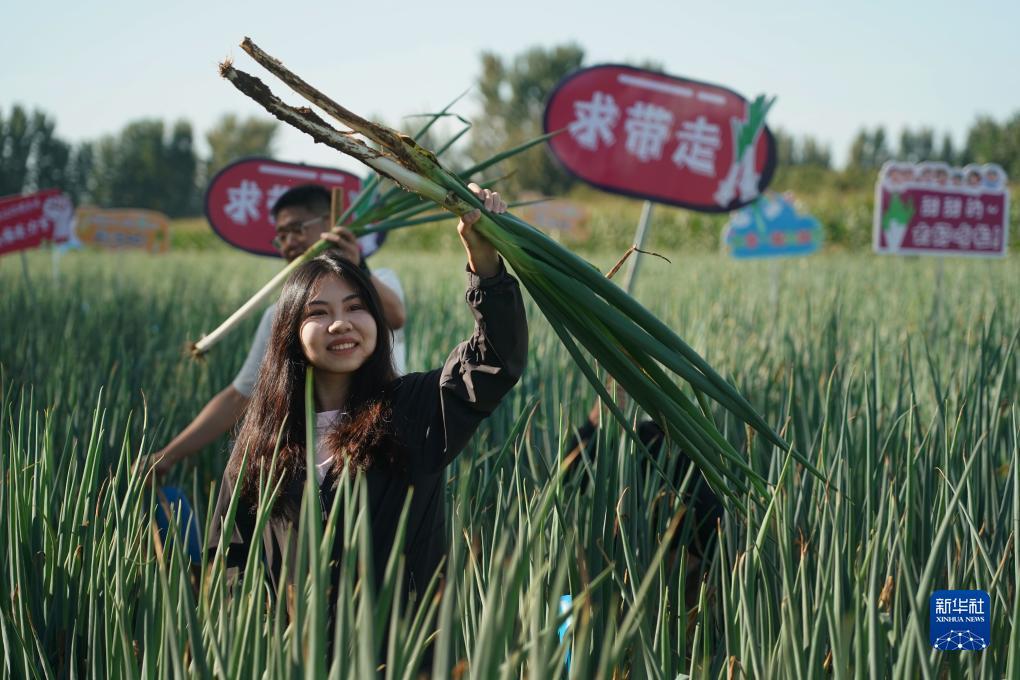 百富策略手机